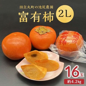 【2026年12月より順次発送】柿の王様 池尻農園 田主丸町の富有柿(冷蔵)2L 16玉入り 約4.2㎏_柿 約 4.2kg 富有柿 2L サイズ 16玉 入り 個包装 柿の王様 甘柿 人気 高い 国産 フルーツ 果物 高品質 天皇への献上品 福岡県 久留米市 田主丸 お取り寄せ お取り寄せフルーツ 冷蔵 生食 食品 食べ物 送料無料 〔Fk106〕
