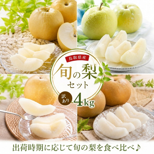 Y047【訳あり】鳥取県産旬の梨セット 4kg