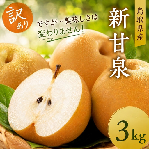 Y027【訳あり】新甘泉 3kg