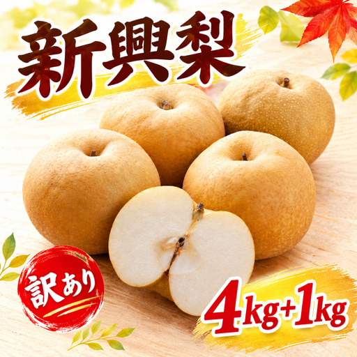 Y043【訳あり】新興梨 4kg+1kg! 【期間限定生産者支援】