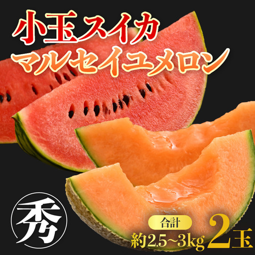 [先行予約]佐藤農園の小玉スイカ・マルセイユメロン セット 計2玉(約2.5kg〜3kg) 秀品 農家直送 有機肥料 低農薬 ※2027年5月下旬〜6月末の間に順次発送 [aw069-a004]