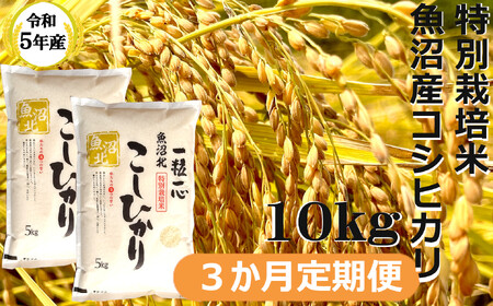 ※使用しない r05-60-4G 【令和5年産】特別栽培米 魚沼産コシヒカリ10kg（3か月定期便）((有)グリーン）白米 魚沼 米 定期便