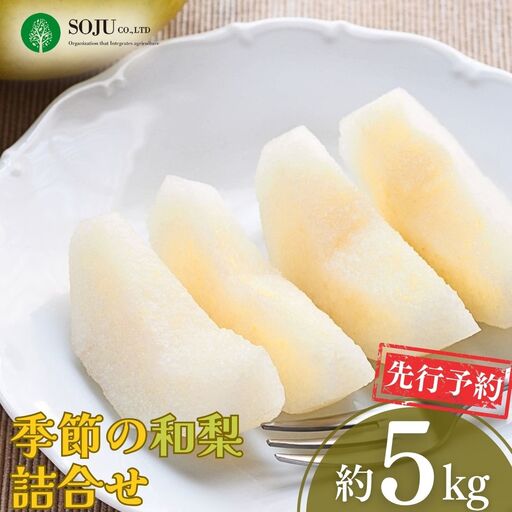 先行予約 季節の和梨詰合せ 約5kg 令和8年度 新潟県 三条市産