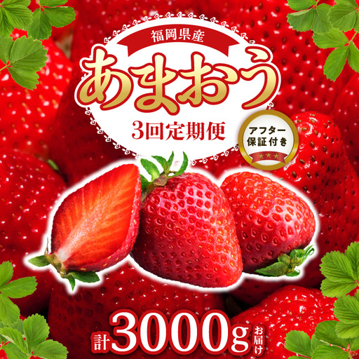 【2027年1月以降お届け】あまおう 約250g 4パック×3回 計12パック【定期便 3回】_ いちご 果物 フルーツ〔Fi301〕