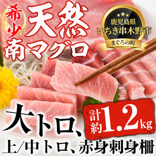 まぐろ 天然南マグロ 約1.2kg 極上セット【00-019-04】