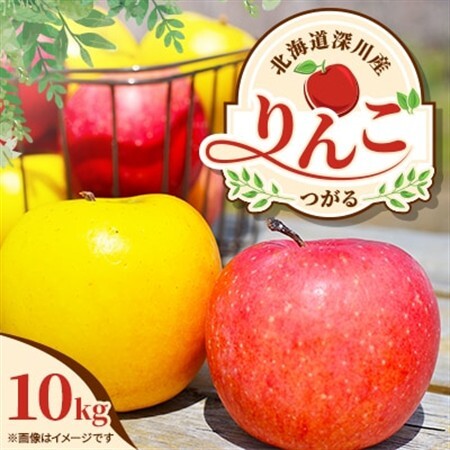 [令和8年産先行受付]北海道深川産りんご(つがる)10kg[ふるさと納税][配送不可地域:離島]