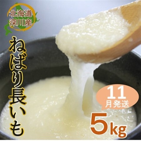 ≪令和8年産先行受付≫北海道深川市産 ねばり長いも 5kg[配送不可地域:離島]