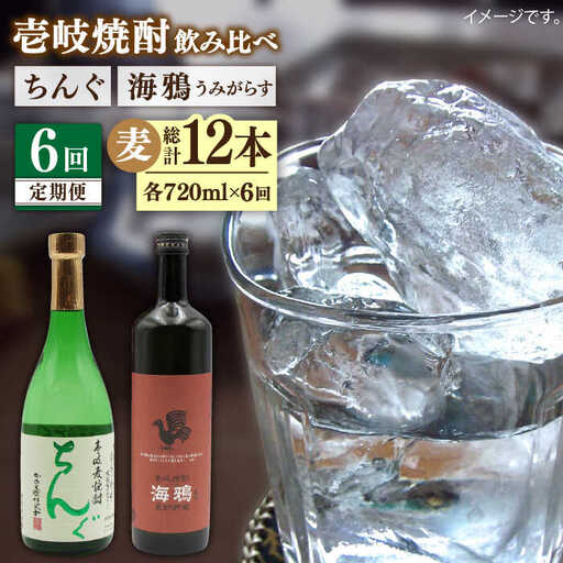 【全6回定期便】海鴉25度とちんぐ25度のセット [JDB187] 96000 96000円