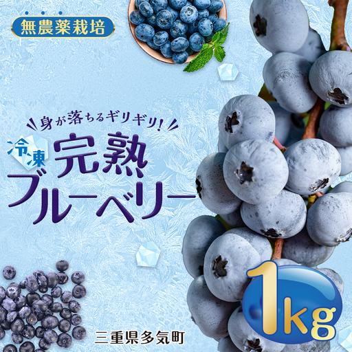 無農薬栽 冷凍完熟ブルーベリー1kg 果物 くだもの フルーツ 完熟 冷凍 ブルーベリー ジャム ピューレー スムージー シロップ 国産 農薬無使用 おいしい ビタミン 食物繊維 ミネラル 三重県 多気町 FR-01