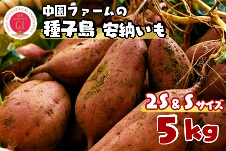 種子島 中園ファーム 安納いも ( 生芋 ) SS / S サイズ 5kg　NFN457【250pt】