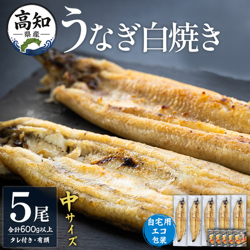 高知県産うなぎ 白焼き 中サイズ 5尾(合計600g以上) 白焼き yw-0047