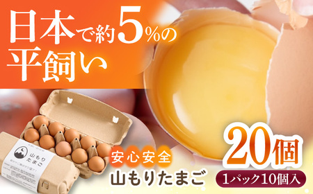 【家族に食べさせたい】平飼い 山もりたまご 20個 安心安全 おいしさに感動 【Craft Food Club】たまご 卵 高級卵 平飼い 飼料にこだわり 卵 生卵 鶏卵 卵