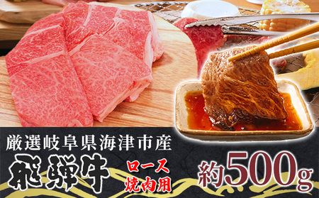 飛騨牛 ロース焼肉 オリジナルカット 焼肉用 飛騨牛