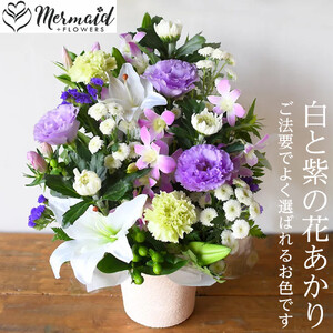 フラワーアレンジメント 花あかり 白ムラサキ[ 花 花束 フラワーアレンジメント ]