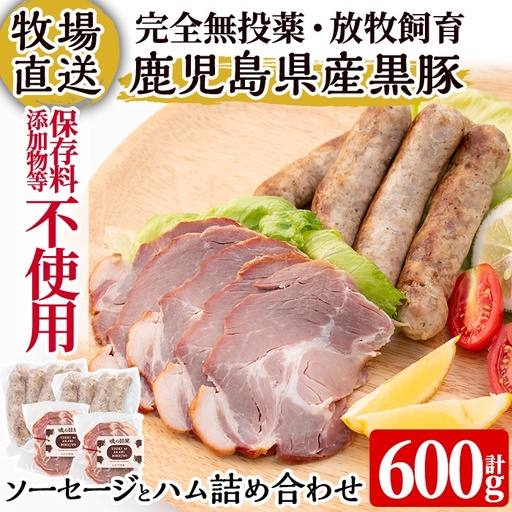 a829 月ノ灯牧場直送！保存料・添加物等不使用の鹿児島県産黒豚ソーセージとハム詰め合わせ合計600g(ソーセージ200g×2p・ハム100g×2p)【pig village company】