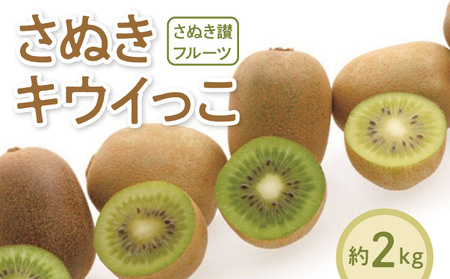 【さぬき讃フルーツ】さぬきキウイっこ 約2kg