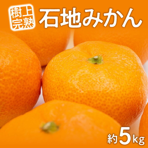 樹上完熟「石地みかん」約5kg