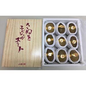 さぬきエンジェルスイートキウイ 約1kg化粧箱入り｜フルーツ 果物 くだもの キュウイ 食品 さぬき 坂出市 人気 おすすめ 送料無料