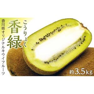 香緑（こうりょく）キウイフルーツ 約3.5kg