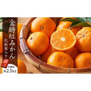 坂出市産 金時紅みかん 約2.5kg（21～30玉入り） 化粧箱入り