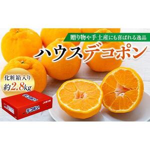 ハウスデコポン 約2.8kg(7〜12玉入り) 化粧箱入り
