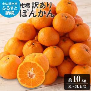 【令和9年1月発送】【訳あり】ぽんかん10kg（谷川果樹園）デコポンの親  みかん 蜜柑 ミカン 不知火 しらぬい 柑橘 かんきつ ポンカン フルーツ オレンジ 果物 くだもの 果汁 甘い【R01601】