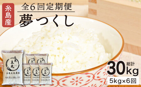【全6回定期便】 糸島産 夢つくし 5kg × 6回（月1回） 糸島市 / 糸島王丸農園 ( 谷口汰一 )【いとしまごころ】[AAZ003]