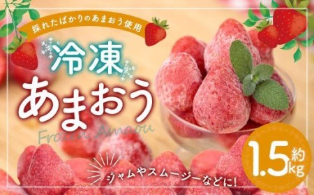冷凍あまおう 約1.5kg 冷凍フルーツ いちご