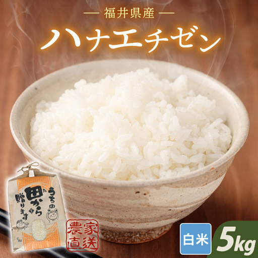 [先行予約][令和8年産・新米] ハナエチゼン5kg × 1袋 〜本原農園からまごころコメて〜(白米)[2026年9月上旬以降順次発送予定] [A-8984_01]