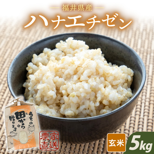[先行予約][令和8年産・新米] ハナエチゼン5kg × 1袋 〜本原農園からまごころコメて〜(玄米)[2026年9月上旬以降順次発送予定] [A-8984_02]