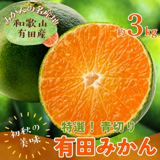【先行予約】【初秋の美味】【農家直送】特選　青切り有田みかん　約3kg+200g(傷み補償分)【2026年9月中旬～10月上旬頃に順次発送予定】【ard043C】
