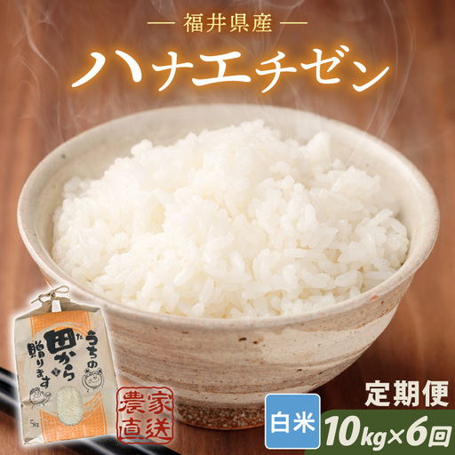 [先行予約][令和8年産・新米]定期便 ≪6ヶ月連続お届け≫ ハナエチゼン10kg×6回 計60kg 〜本原農園からまごころコメて〜(白米)[2026年9月上旬以降順次発送予定] [K-8910_01]