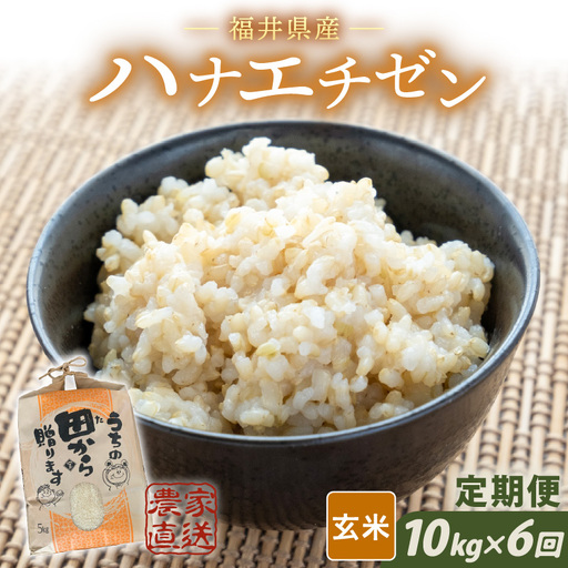 [先行予約][令和8年産・新米]定期便 ≪6ヶ月連続お届け≫ ハナエチゼン10kg×6回 計60kg 〜本原農園からまごころコメて〜(玄米)[2026年9月上旬以降順次発送予定] [K-8910_02]