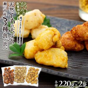 天ぷら 訳あり 食べ比べ 6袋 ( 220g × 各2袋 ) 天然イカの天ぷら