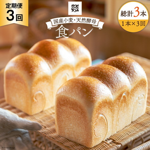 3回 定期便 食パン 天然酵母食パン 1本
