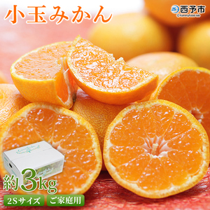 【先行予約】＜愛媛県西予市産 小玉みかん ご家庭用 約3kg＞ 2Sサイズ 訳あり わけあり 果物 フルーツ 温州ミカン 蜜柑 甘い あまい おいしい 美味しい オレンジ 柑橘 特産品 愛媛県 西予市【常温】『2026年10月中旬～12月下旬迄に順次出荷予定』UUB0002