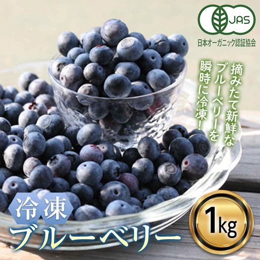 ＜有機JAS認定＞ 冷凍ブルーベリー (1kg) ブルーベリー JAS認定 農薬不使用 有機栽培 冷凍 フルーツベリー くだもの 果物 食品 F20E-848