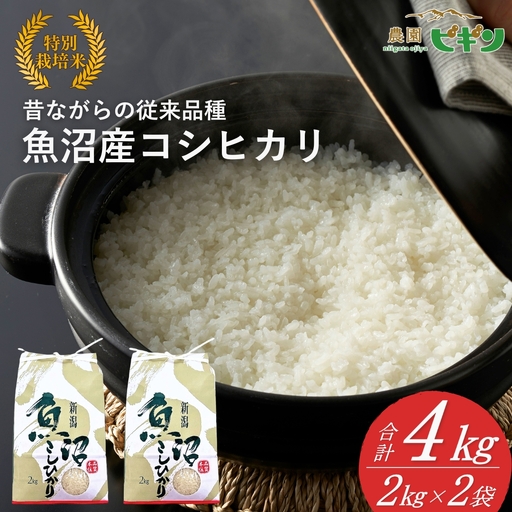 【令和8年産 先行予約】 昔ながらの魚沼産コシヒカリ 従来品種 精米 4kg（2キロ×2袋）農園ビギン | おこめ 特A評価 小千谷市 コシヒカリ