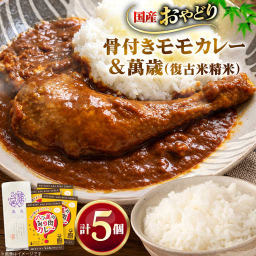 レトルト カレー 国産 骨付きモモ 1本 六ツ美のあの肉カレー 中辛 4個 萬歳 1袋 大正浪漫 セット