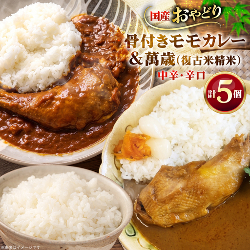 レトルト カレー 国産 骨付きモモ 1本 六ツ美のあの肉カレー MIX 中辛 辛口 各2個 萬歳 1袋 大正浪漫 セット