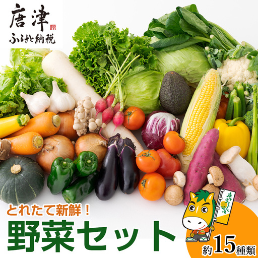 野菜セット 新鮮とれたて旬の野菜 季節の野菜 詰合せ