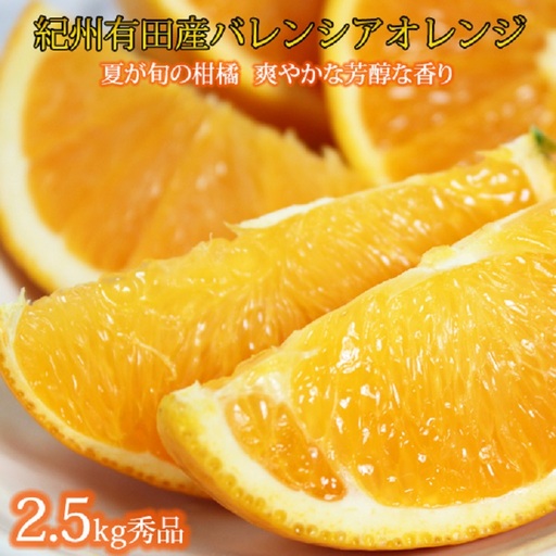 秀品 希少な国産バレンシアオレンジ 2.5kg ※2027年6月下旬頃〜7月上旬頃順次発送(お届け日指定不可)[uot752]