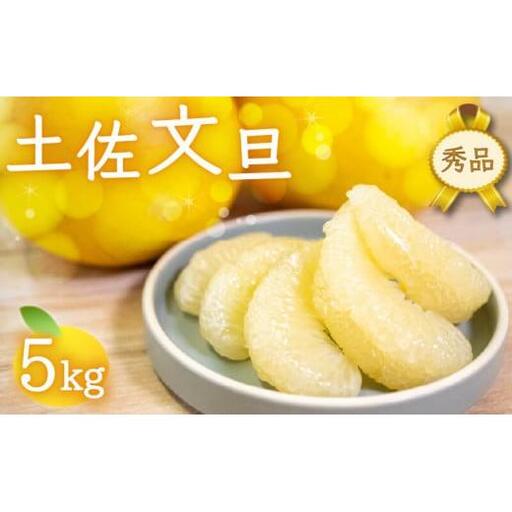 文旦 秀品 5kg 先行予約