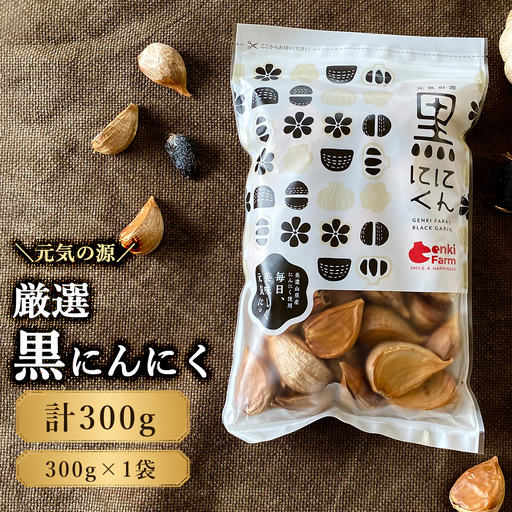 元気の源　黒にんにく　300g [No.499]