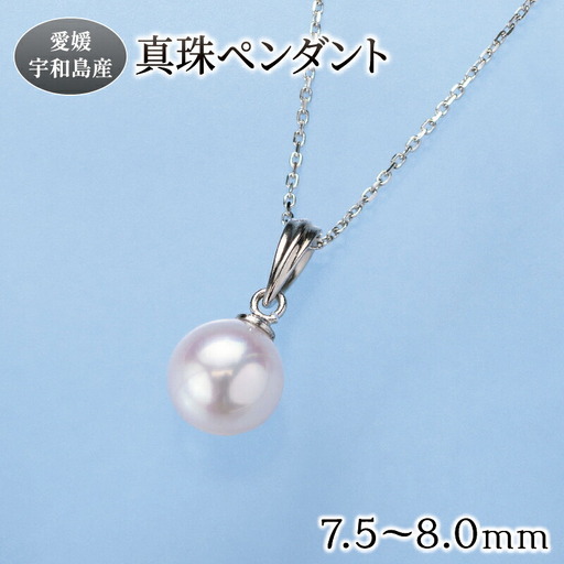 真珠 ペンダント 7.5-8.0mm 真珠会館 ネックレス パール 一粒 アクセサリー アコヤ真珠 本真珠 akoya ファッション フォーマル カジュアル 冠婚葬祭 慶事 結婚式 卒業式 入学式 お祝い ギフト 贈り物 人気 特産品 国産 愛媛 宇和島 A066-001003