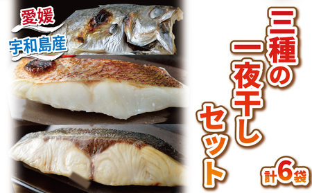 干物 【こもねっと】 一夜干し 干物セット 6枚 D010-008002