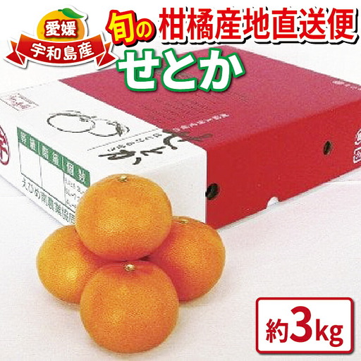 【せとか】せとか約3kgJAB020-009006