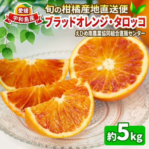 ブラッドオレンジ タロッコ 約 5kg JA オレンジ B020-009007