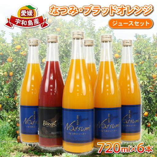 [ジュース]みかんジュース6本なつみブラッドオレンジJAH020-009009