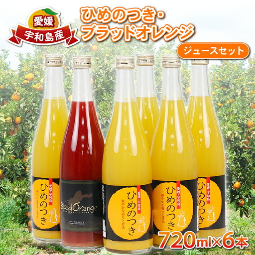 柑橘 ジュース ひめのつき ブラッドオレンジ セット 720ml×6本 えひめ南農業協同組合直販センター JA 柑橘柑橘柑橘柑橘柑橘柑橘柑橘柑橘